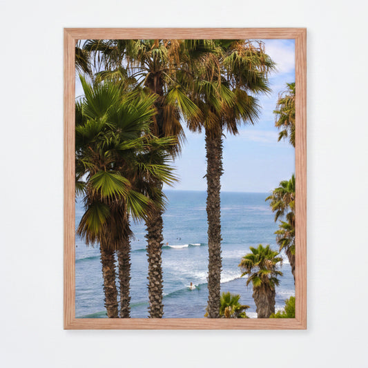 Framed Pacific Palms
